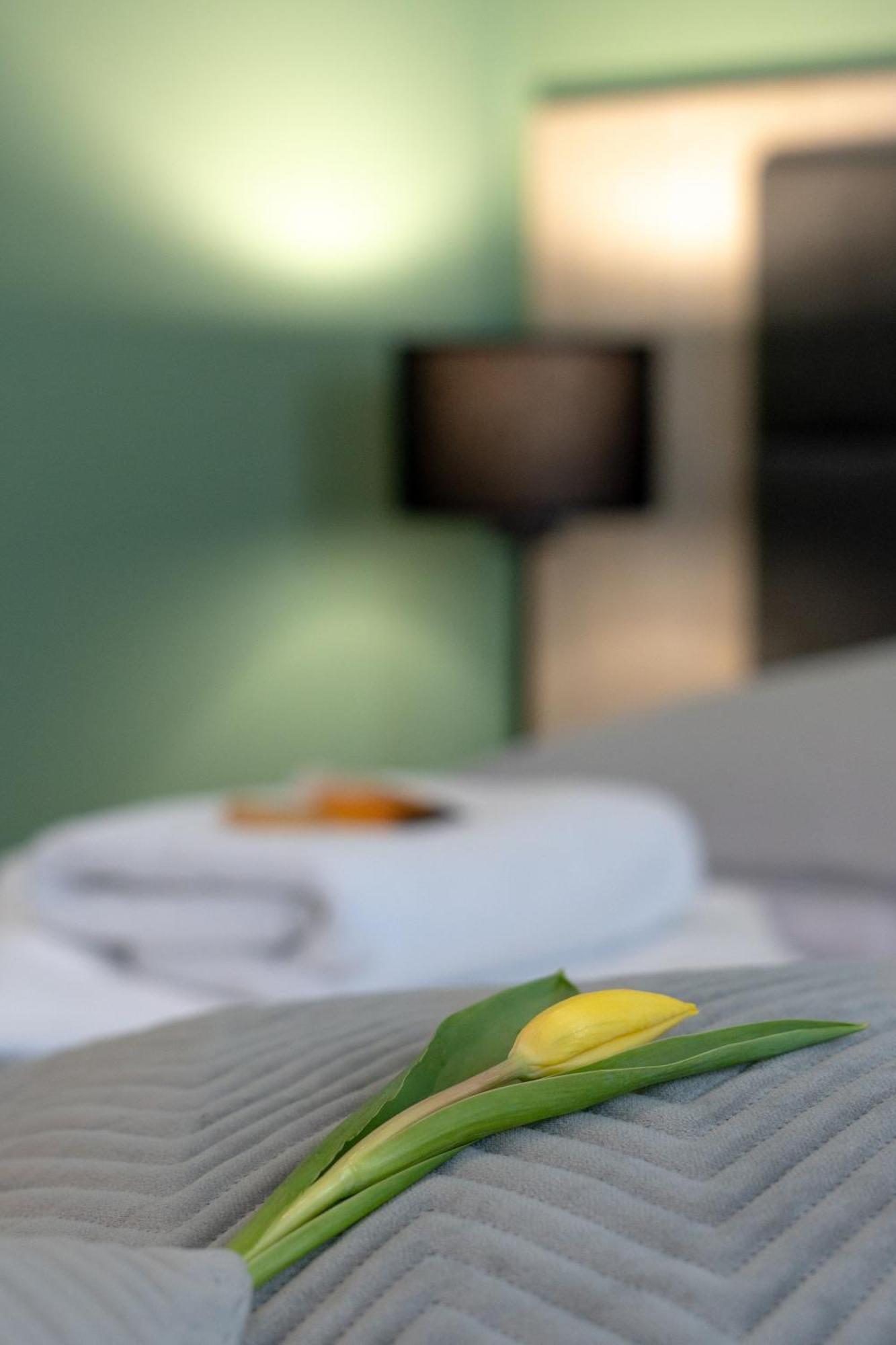 סטריקאו Hotel W Dobieszkowie מראה חיצוני תמונה